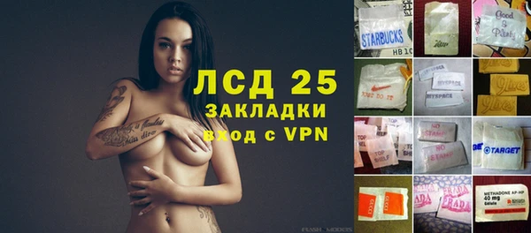 гашик Алексин