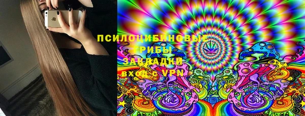 гашик Алексин