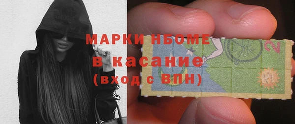 гашик Алексин