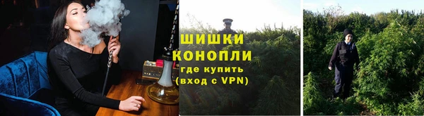 бошки Алзамай