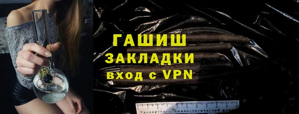 гашик Алексин