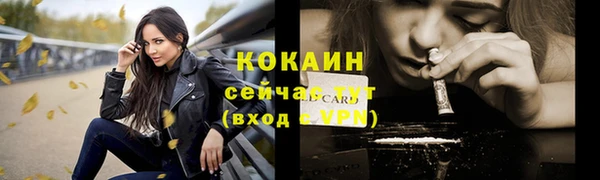 стаф Семилуки