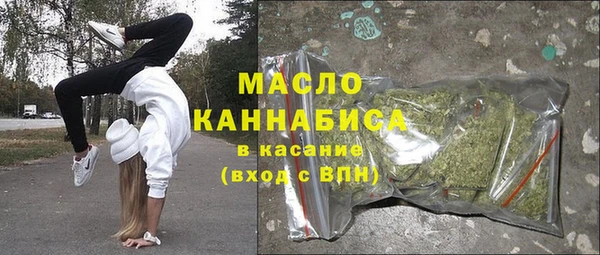 гашик Алексин