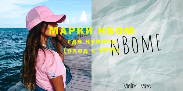 гашик Алексин