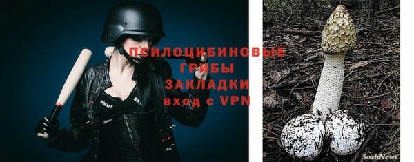 бошки Алзамай