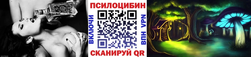 Галлюциногенные грибы Psilocybe  магазин    Дрезна 